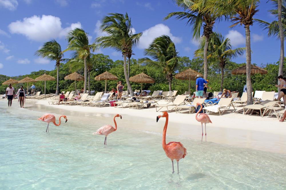 Aruba Awaits